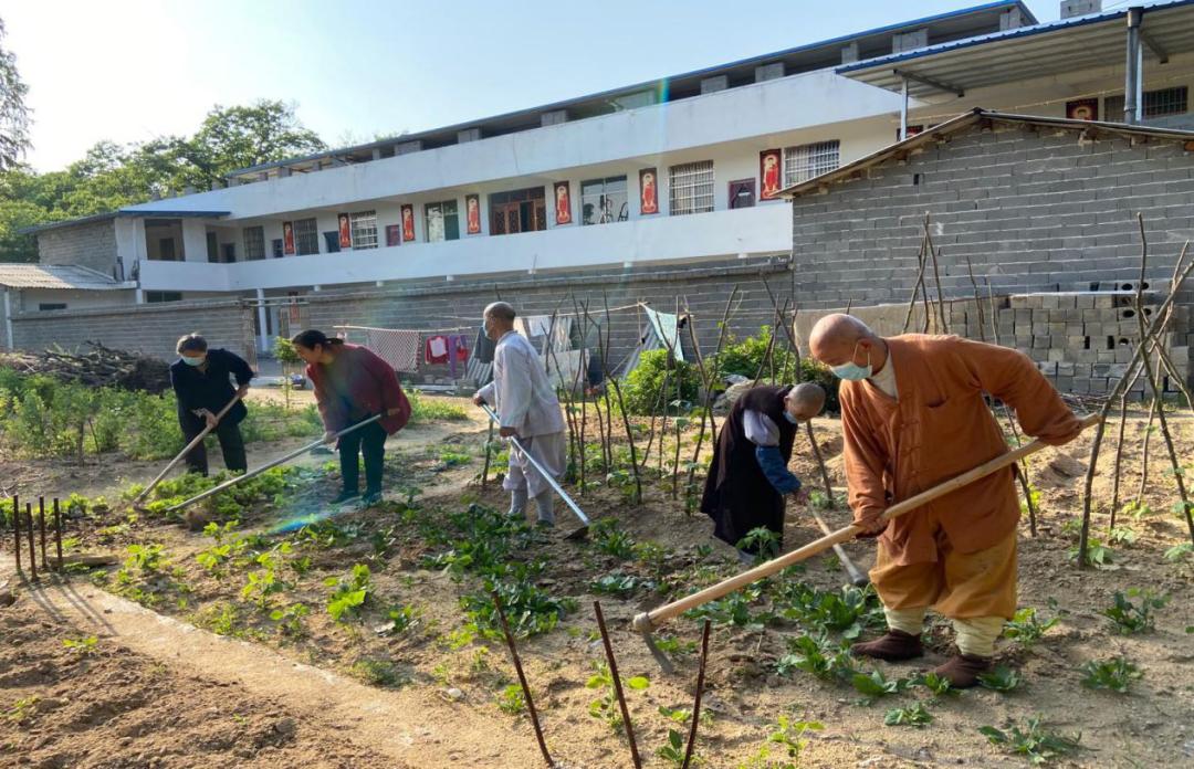 抢抓农时开展农业生产,农民纷纷抢抓春耕生产有利时机