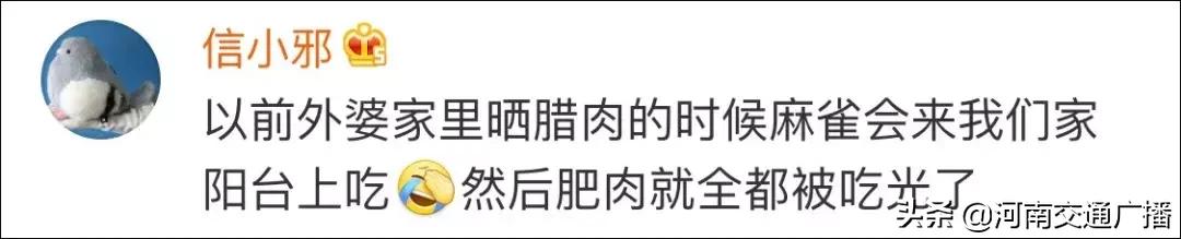 鸟儿偷吃香肠腊肉,香肠腊肉挂外面被鸟吃