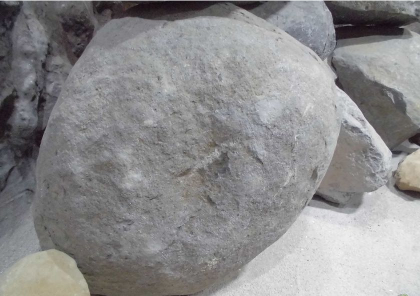 自己做大型水陆缸,在家自己打造一个沙漠缸