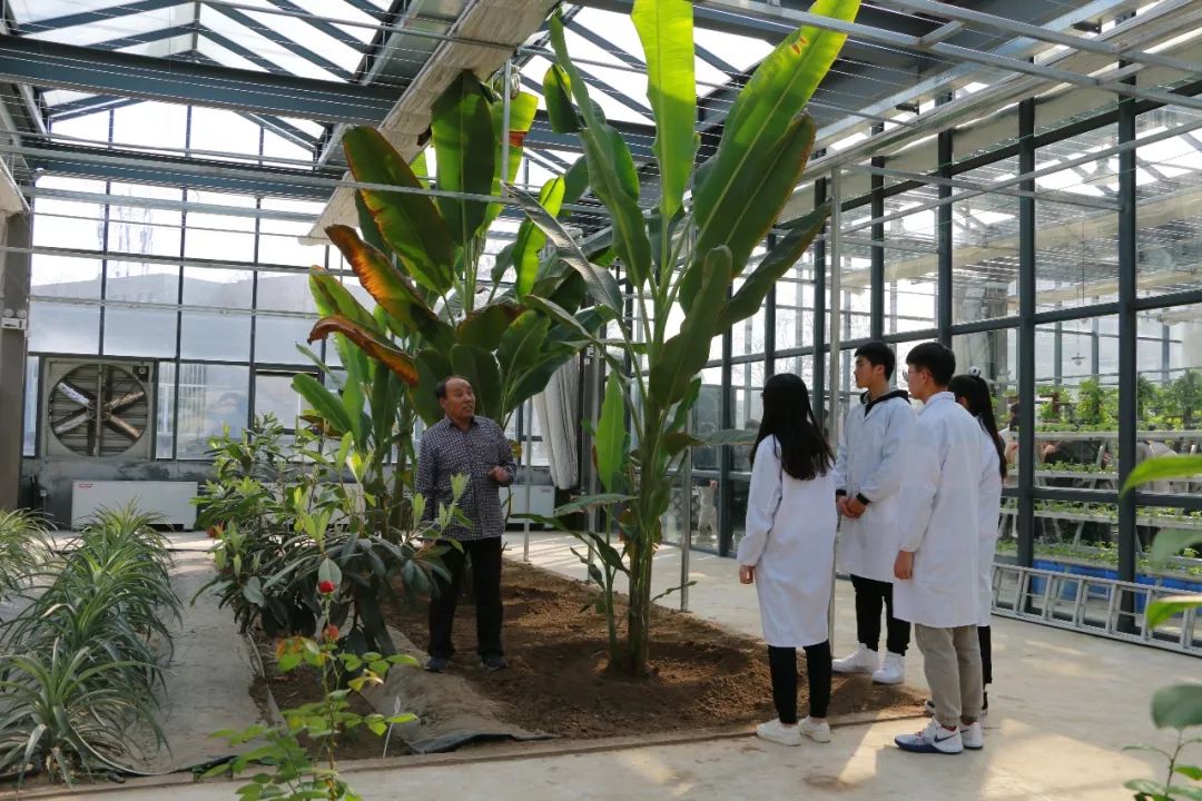 园林景观和园艺,园林风景园林区别