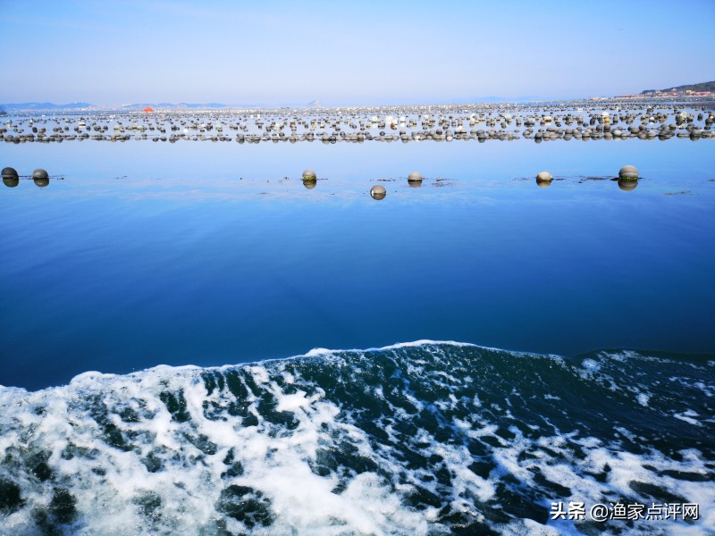 大连这个小岛不去看一看，真的会后悔