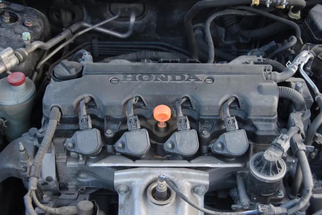 雅阁对不起,我不能爱你