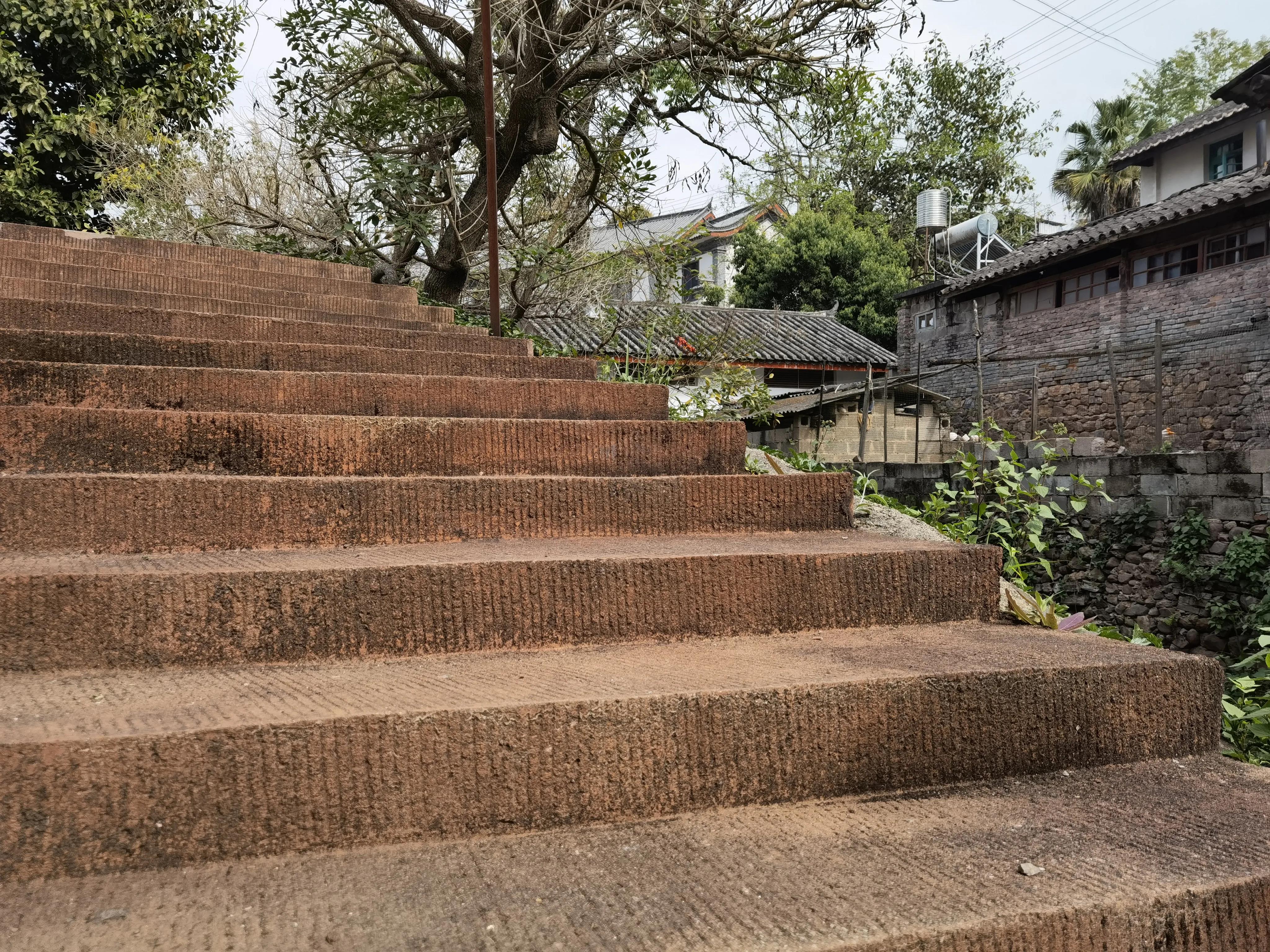 大渡岗十大名茶,大渡岗茶山文化