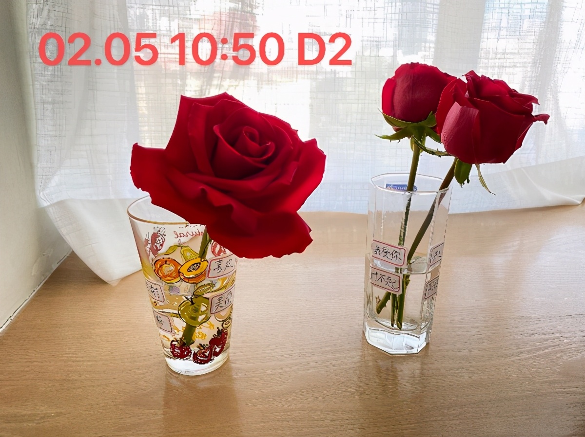 无形决定有形的说法,无形决定有形