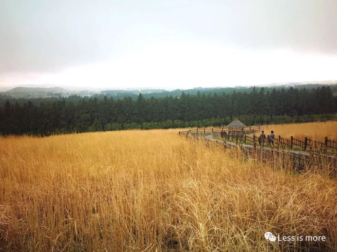 韩国济州岛超详细旅游规划攻略,韩国济州岛攻略自由行