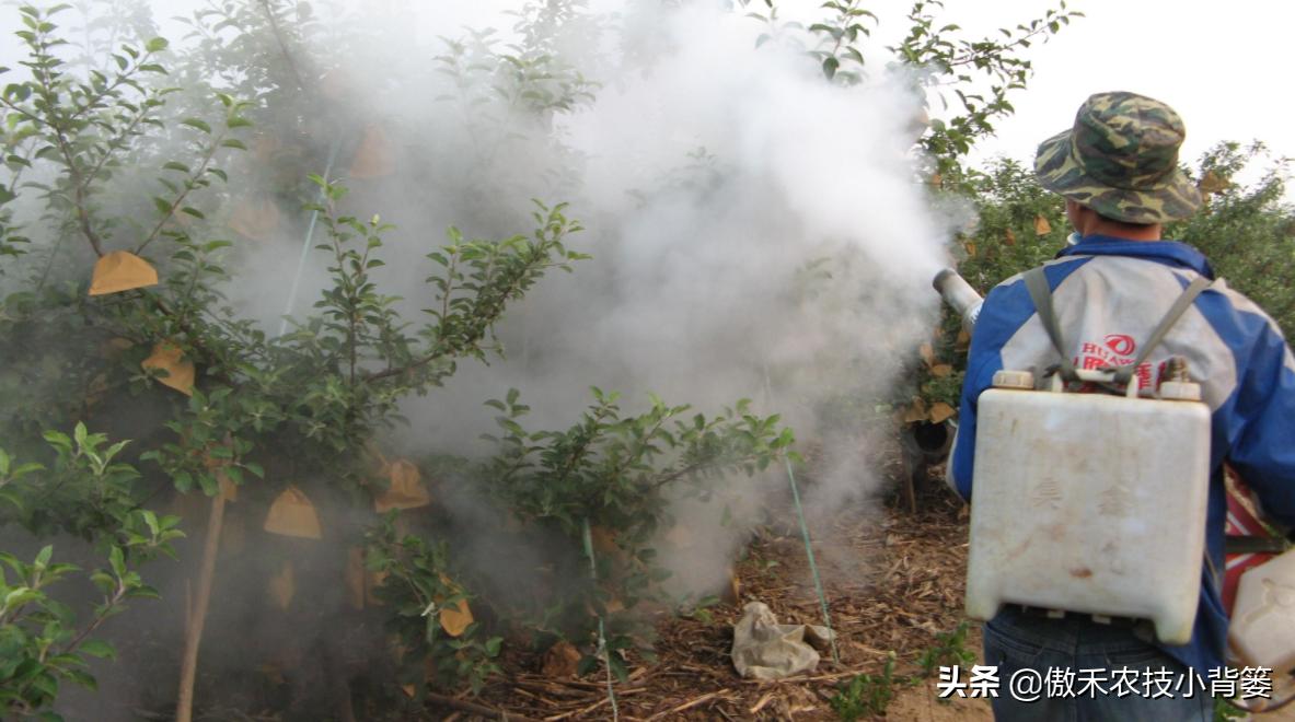 尿素和液体氮肥哪个好,液体氮肥到底是什么