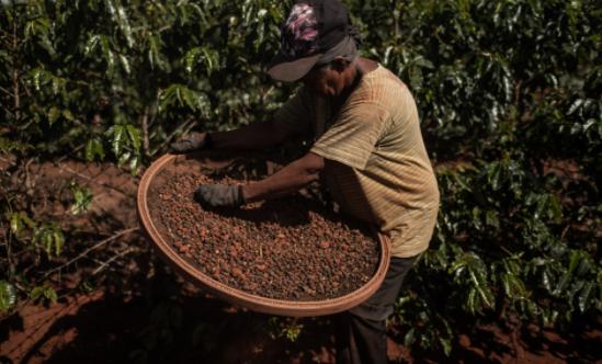 供应链中断,供应链中断的案例