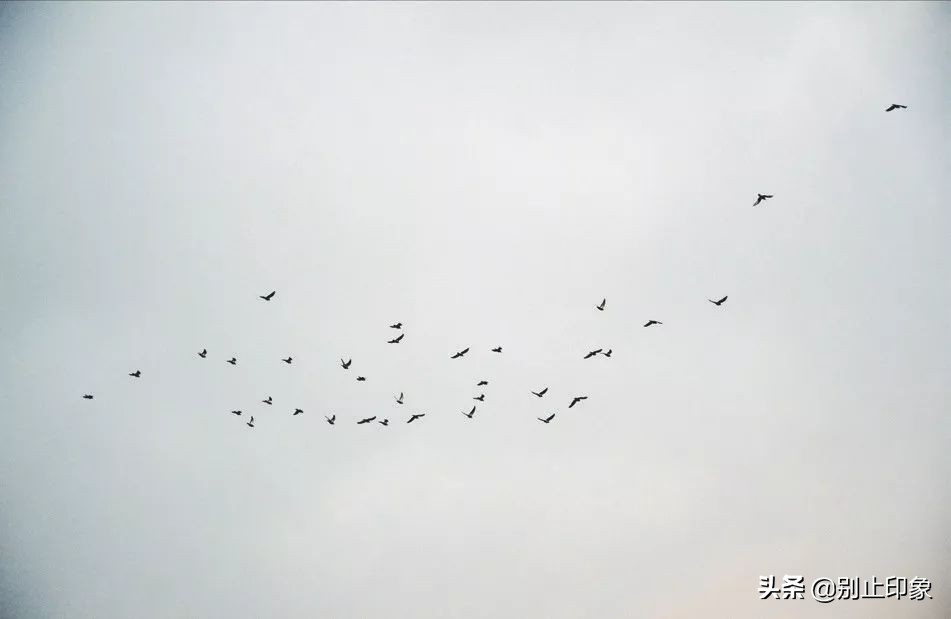 手机摄影构图大全公众号,手机摄影构图取景技巧