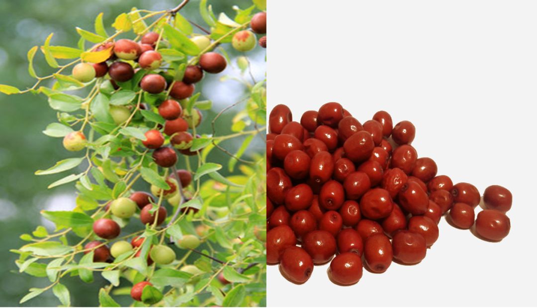 枣最有营养的吃法,枣营养素