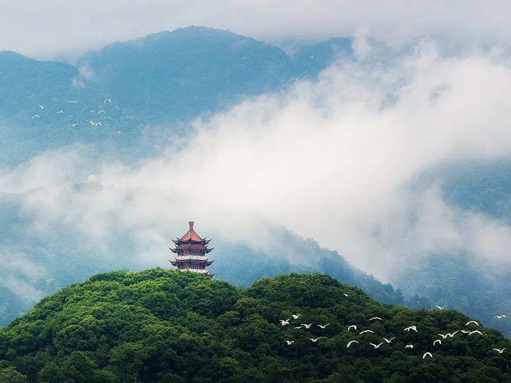 三明麒麟山改造,满意在三明宣传片