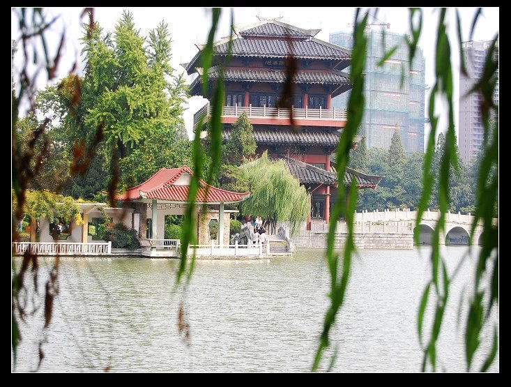 合肥故事第二季,合肥兴衰史