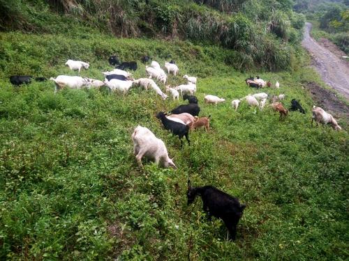 故事连载范文,故事连载小说完整版