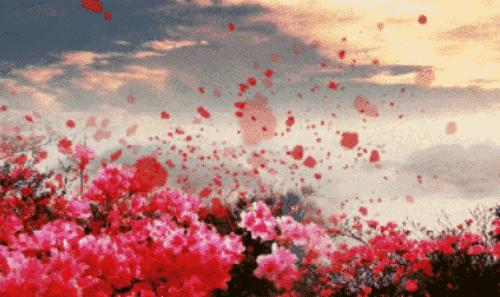 宜春即将开建公园项目,宜春体育公园建在哪里