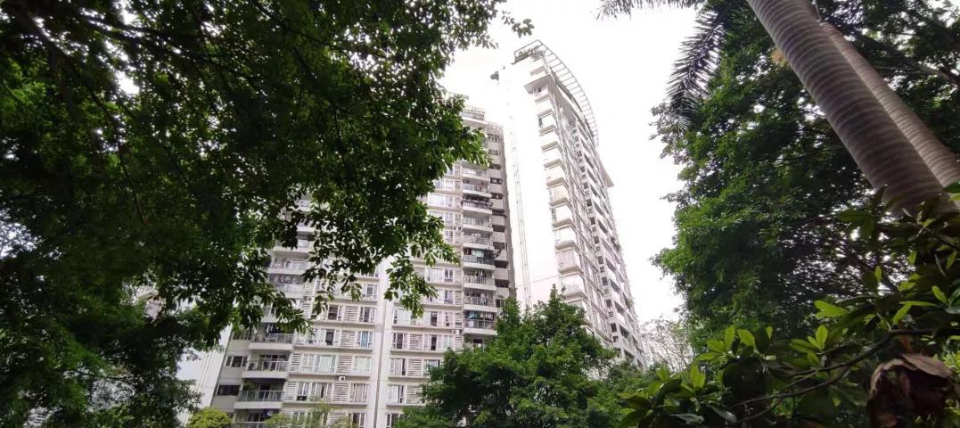 保利百合花园南区为啥便宜,海珠区保利红棉花园全景图