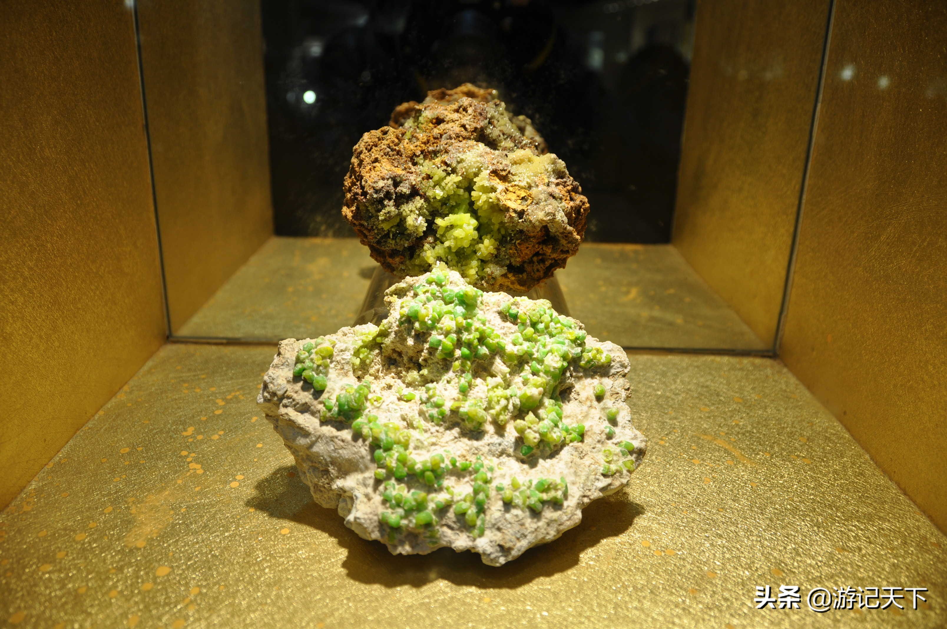 参观上海东方地质科普馆,上海东方地质科普馆需要预约吗