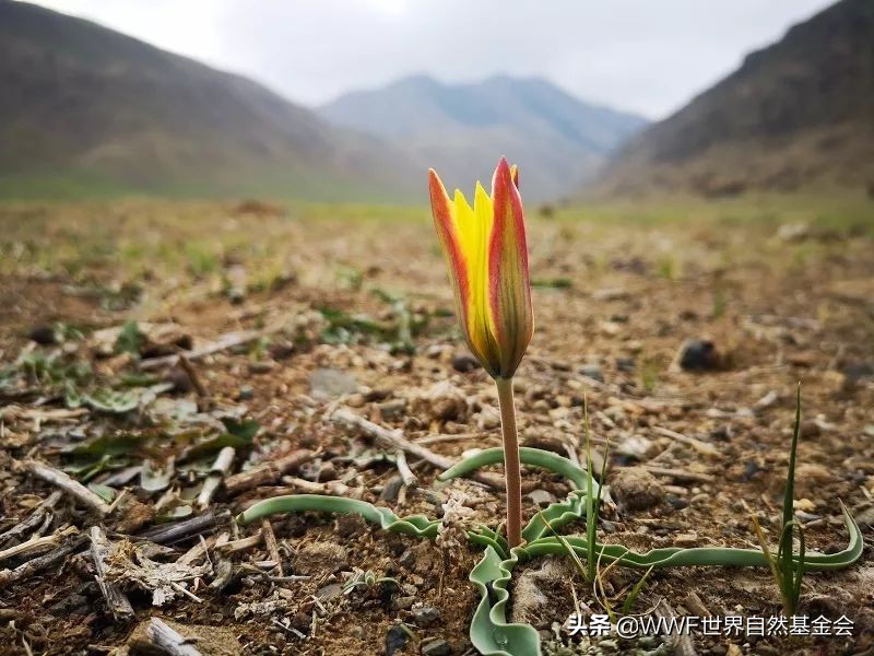 如何正确的品味一首歌,如何品味咖啡更美味