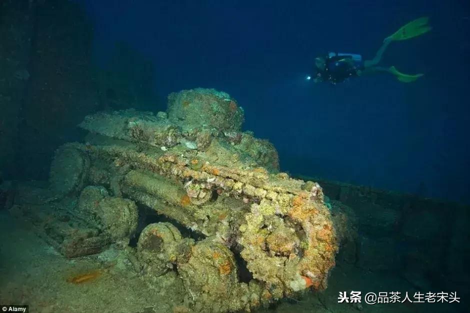 最新世界十大“怪”，最后一个太绝了！