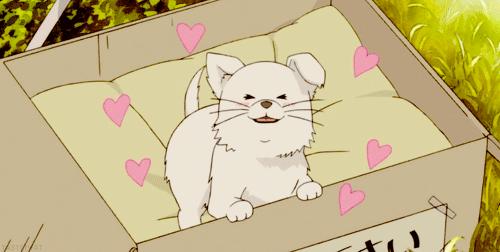 河北保定易县方言搞笑视频,河北方言搞笑视频保定徐水方言