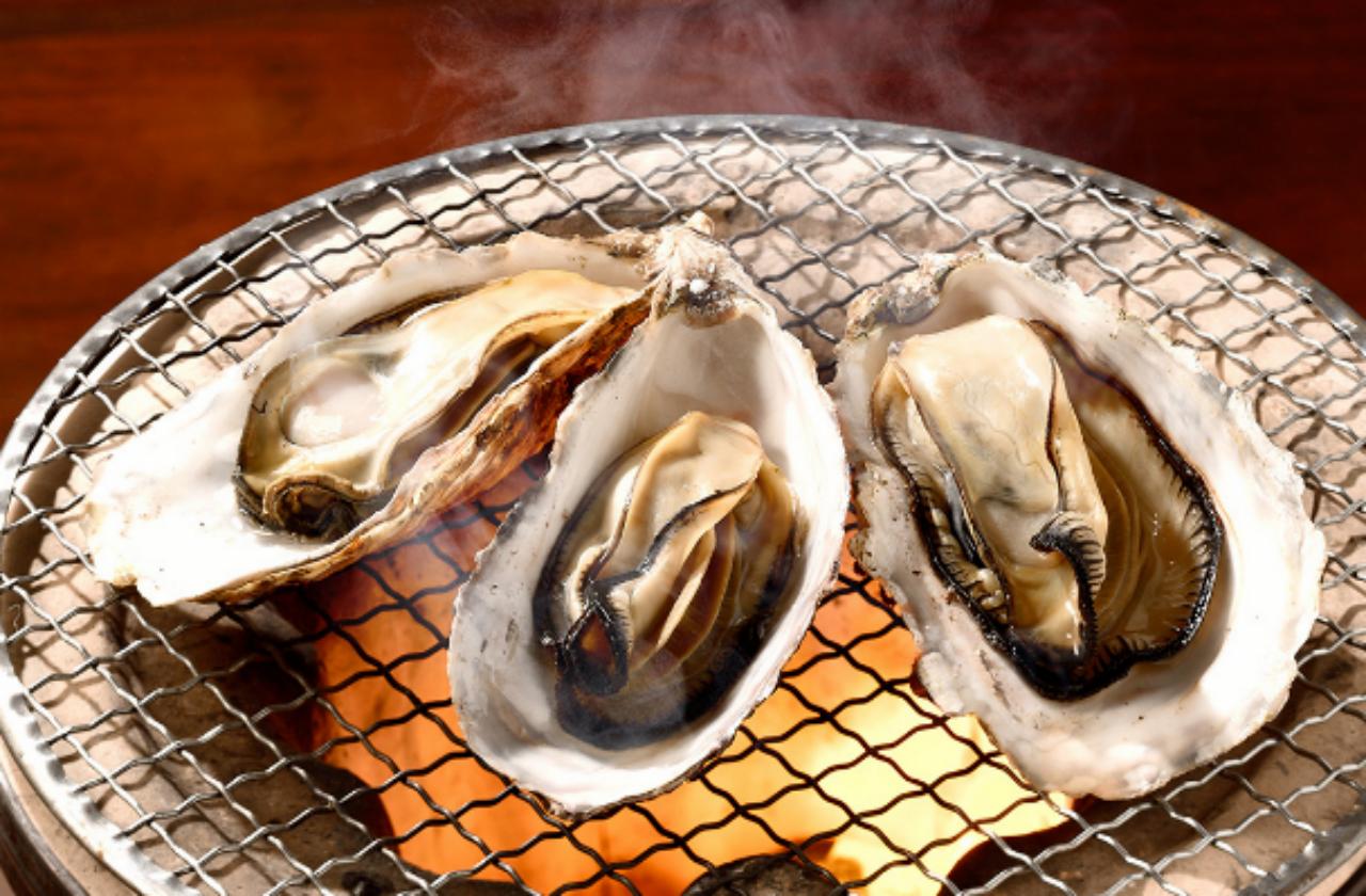 超市里的活生蚝怎么挑选,撬开生蚝怎么挑选新鲜的