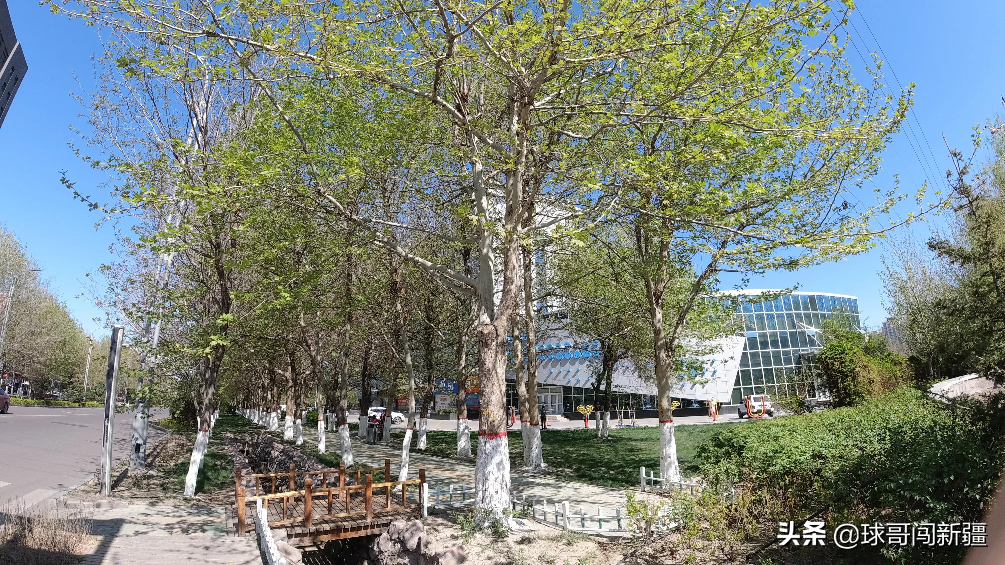 伊宁市具备成为大城市的许多条件，旅游业发达，为何仅排*疆新**第四