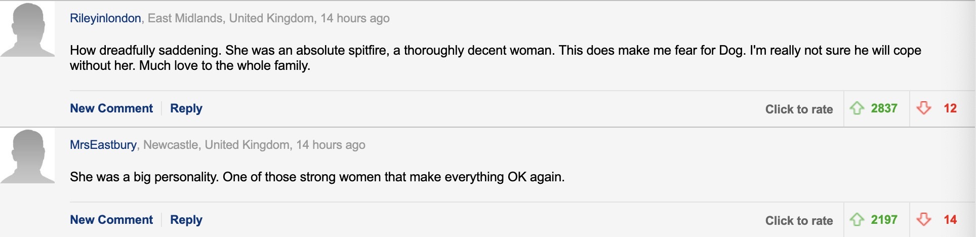 缇庡浗鐘姜鐚庝汉,缇庡浗璧忛噾鐚庝汉鎶撴崟缃姱骞插噣鍒╄惤