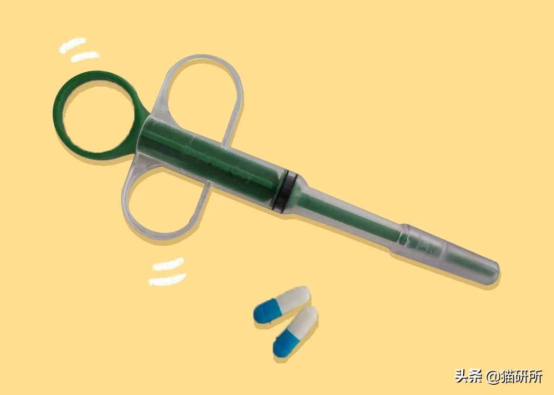 喂药时怎么让猫咪不乱动,喂药给猫方法