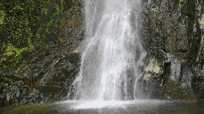 贺州姑婆山景区国家森林公园,贺州姑婆山森林公园路线