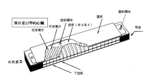 口琴怎么修复外壳,口琴的修理方法视频
