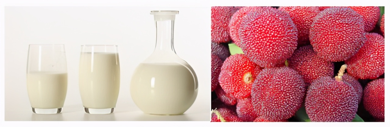 兰溪杨梅正式开摘！最强采摘攻略出炉，五十里杨梅长廊够吃吗？杨梅自由就是现在！