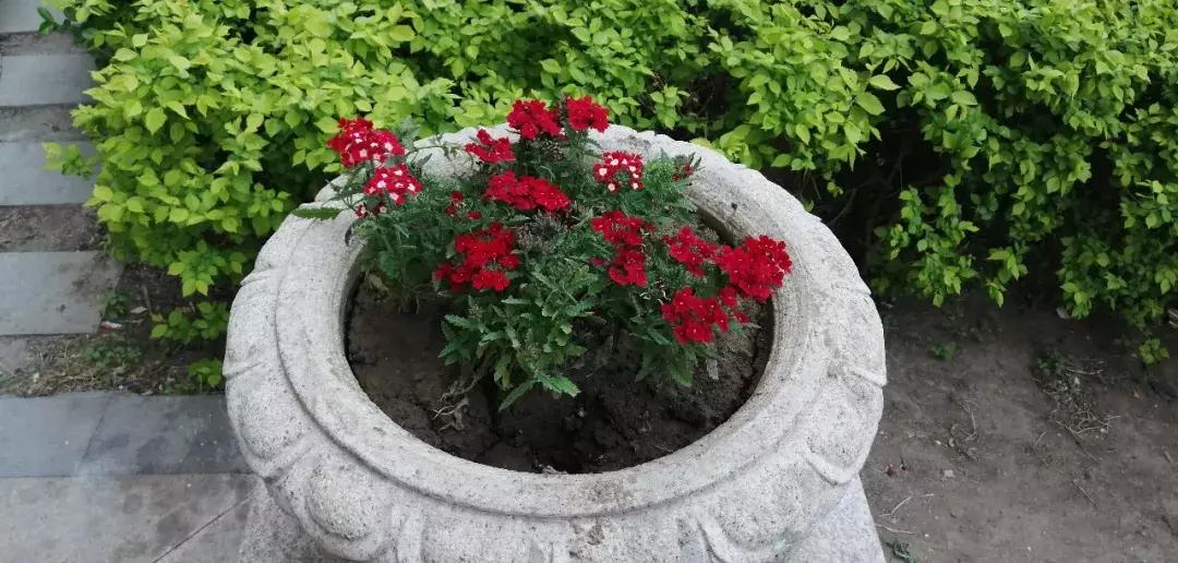 武清低总价优质小区,武清不值得买的小区排名