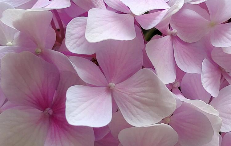 vivox50pro有没有光学防抖,vivox50pro60倍变焦防抖