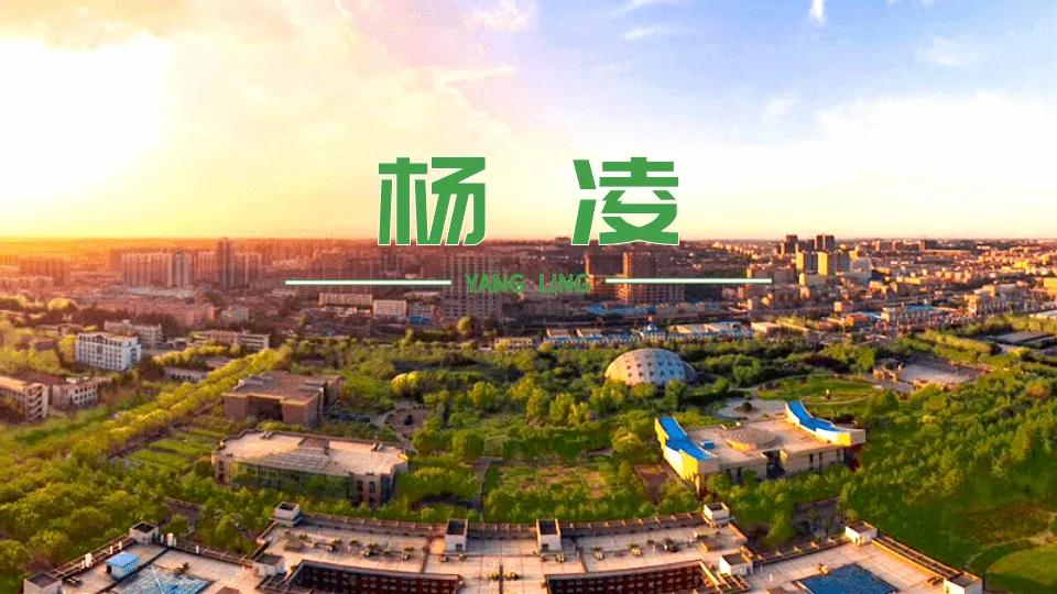 杨凌示范区2020年总结大会,杨凌示范区工作会