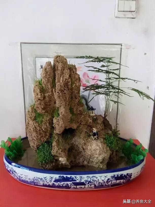 上水石盆景摆放位置,上水石假山盆景怎么养