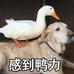 盐城大洋湾马拉松比赛视频,盐城马拉松怎么报名参加