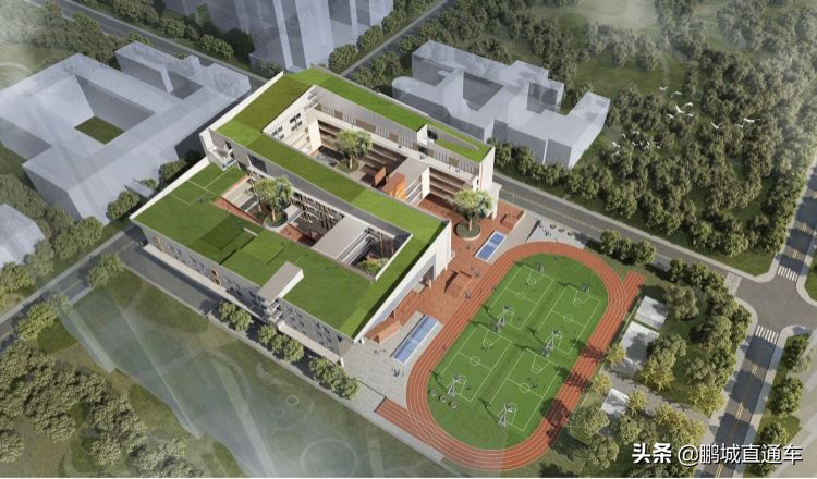 深圳市福田区石厦小学是不是公立,福田区石厦小学好不好