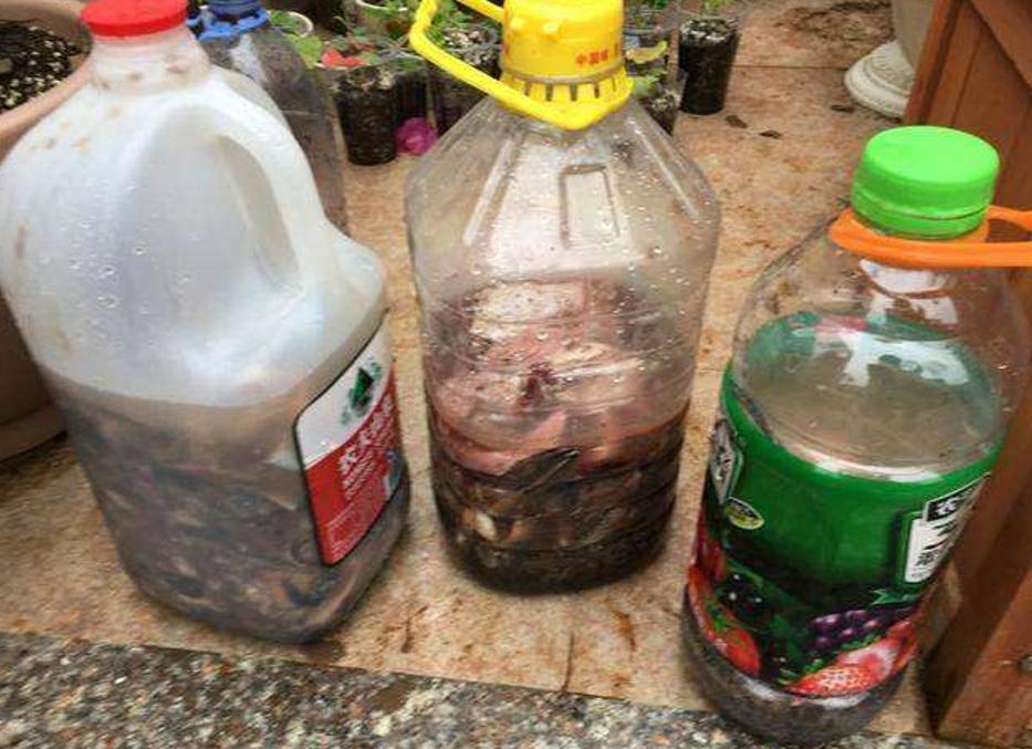 养花不需要发酵的自制花肥,哪种有机肥料养花最好