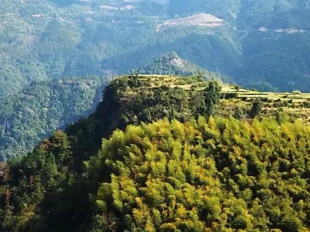 惊艳！乐清这里竟藏一处鲜有人至的世外桃源