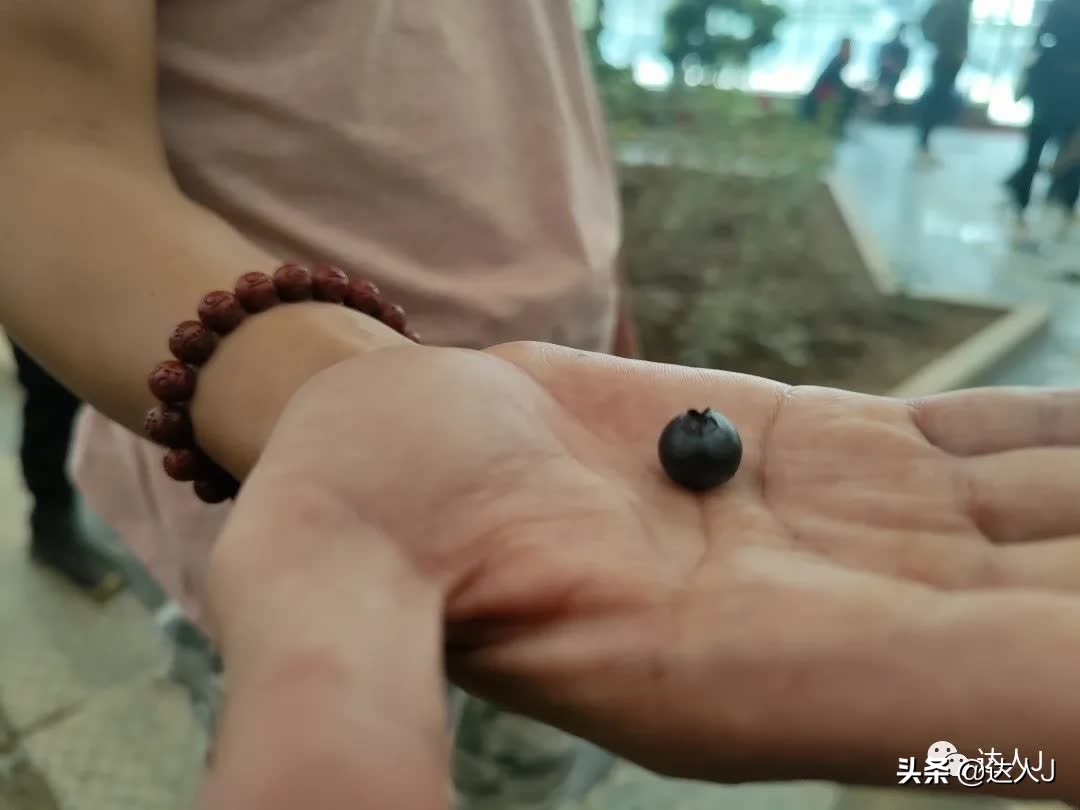 有一种信仰叫爱情,心目中的珠穆朗玛峰