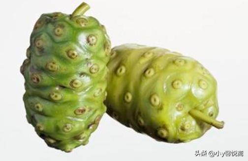诺丽果三种人不能吃,诺丽果是什么味道
