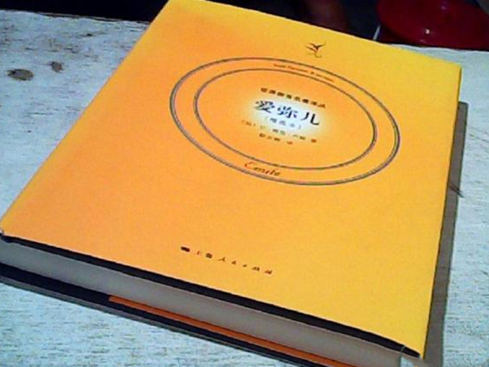 卢梭教育思想分析,卢梭的教育思想对当今教育的启示