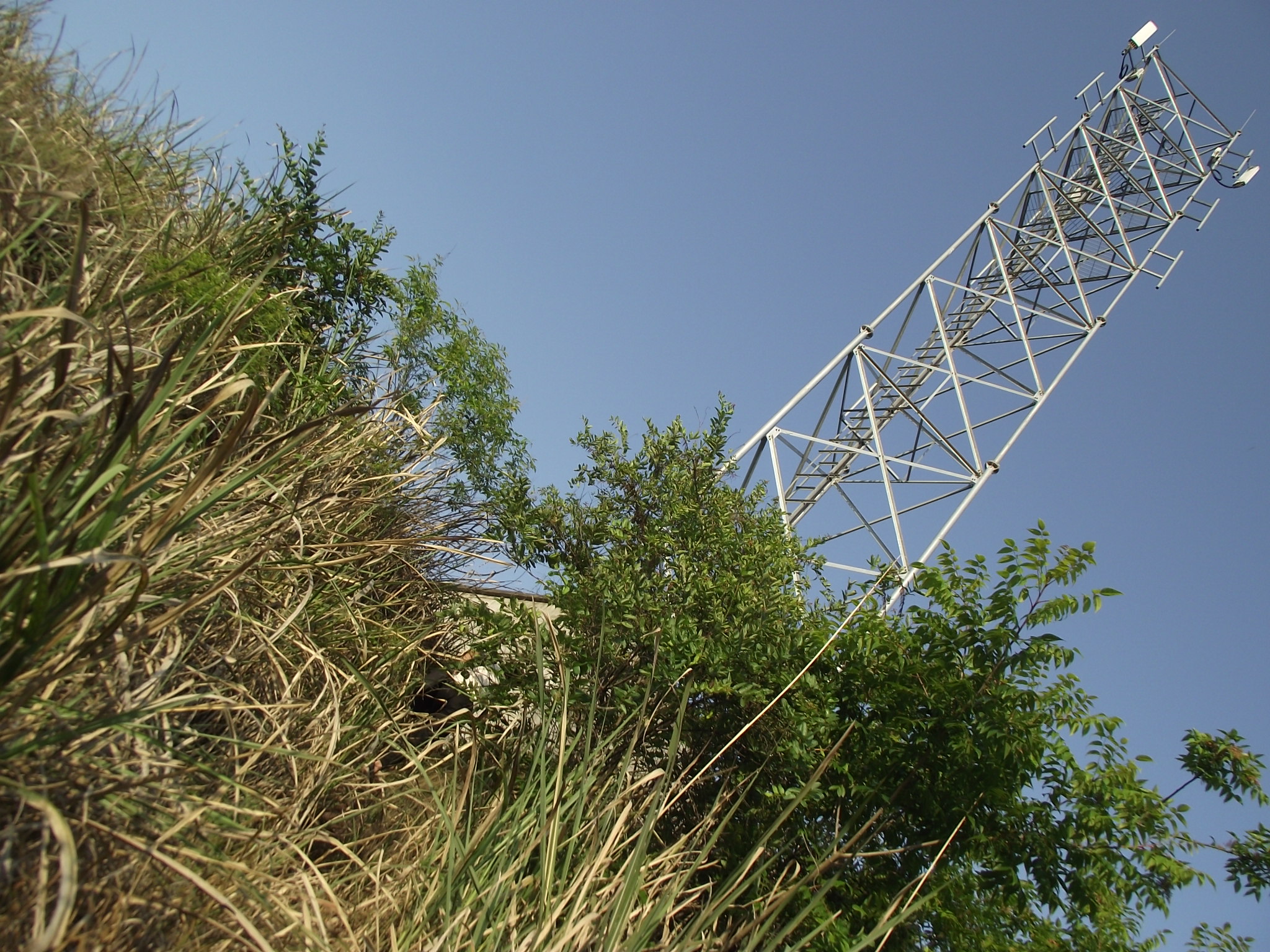 基站维护员学徒,辛苦的后勤维修工