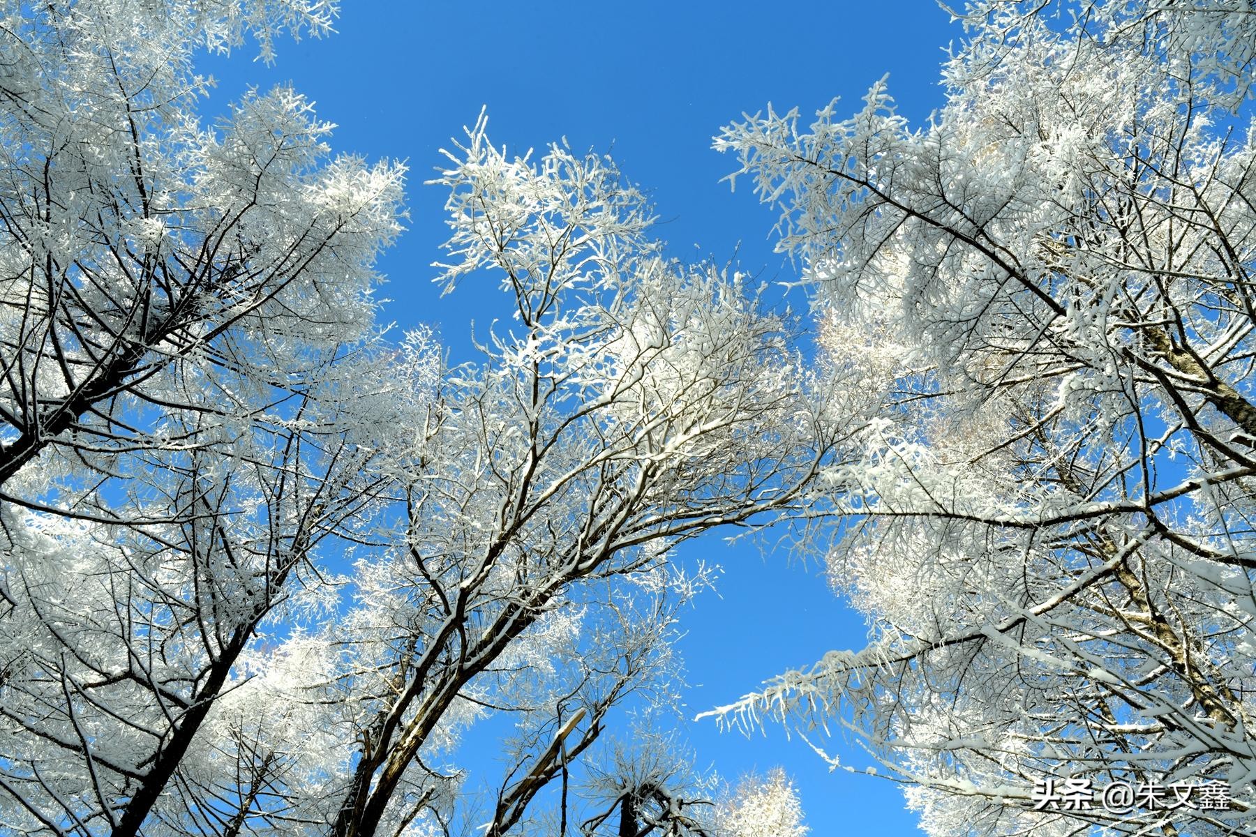 吉林柳河下雪,吉林省通化市柳河