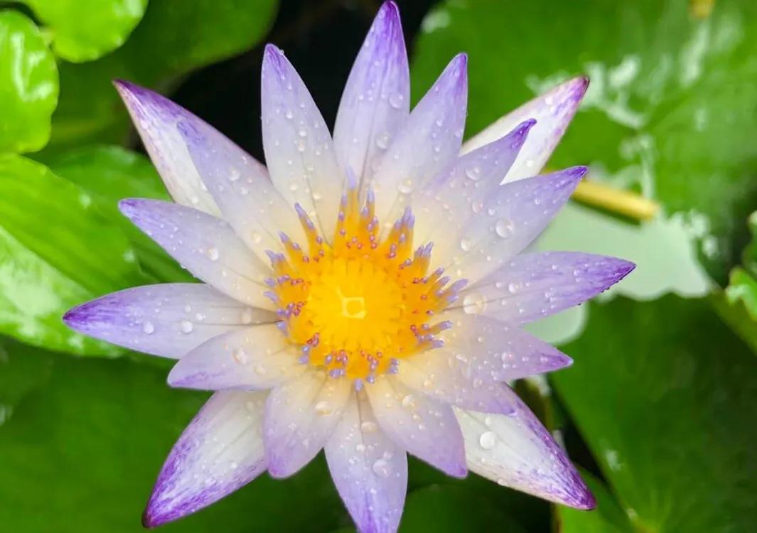 我讨厌爸爸却越来越像他文案,我讨厌爸爸儿童绘本