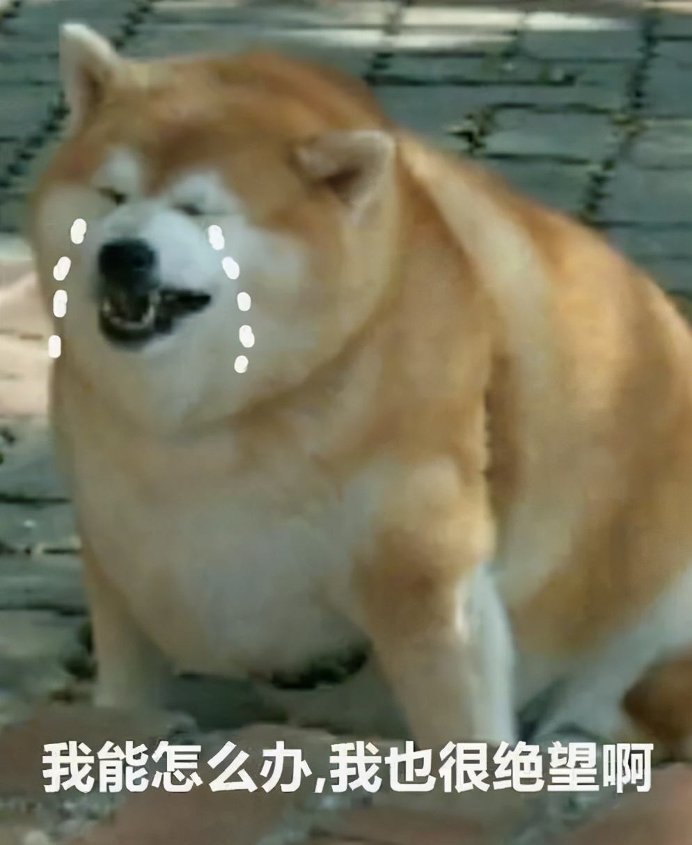 狗吃了毒香肠多久发作,狗误食毒香肠