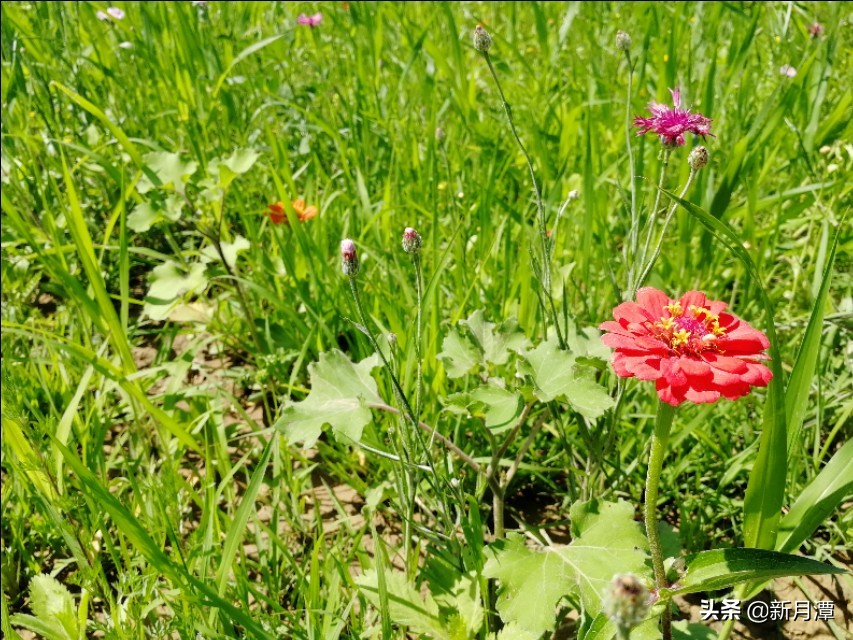 07年股市大跌,股市大跌后第二天行情