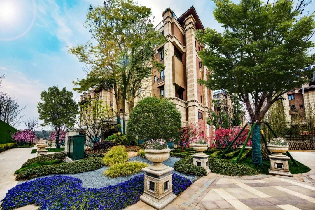 白马路上杀出黑马,实景现房,全能低密豪宅销许已领,即将开盘