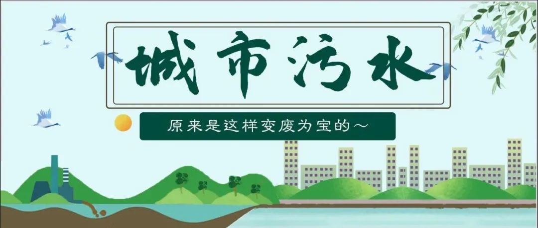 青春实践行NO.11|志愿者们的扬州“百景”，等你来赏