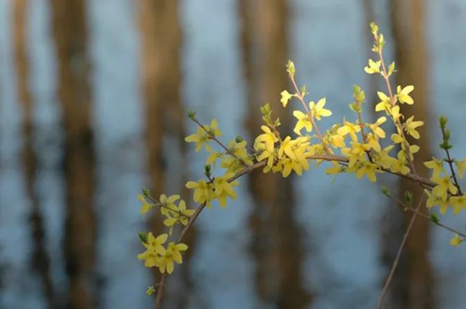 景深效果要满足哪些条件,景深运用技巧大全