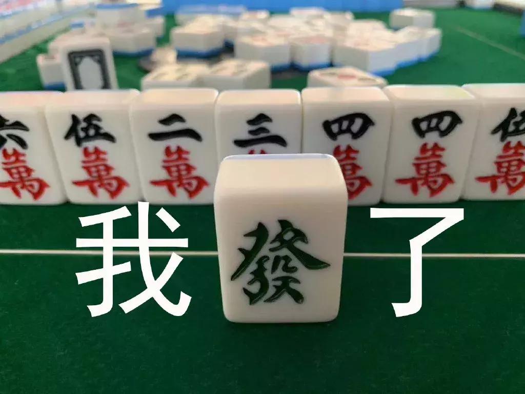 趣图搞笑表情包带麻将两个字,麻将上的南上加南图片