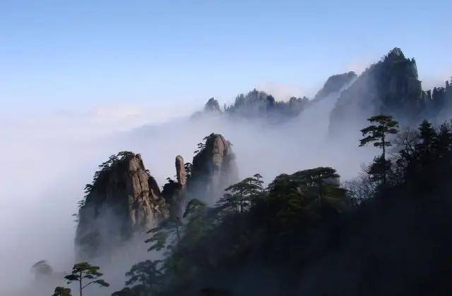 墙壁上的苔藓怎么处理,墙壁上长青苔